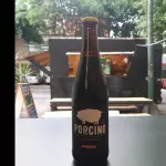 PORCINO