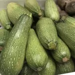 Zapallo italiano
