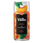 Suco Del Valle Pêssego 290ml