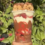 Strawberry chokis 16 onz