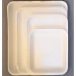 BANDEJA 1S PACK 10 UNIDADES