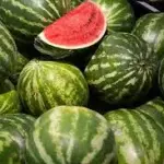 SANDIA 2 UDS