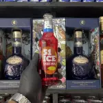 51 ICE FRUTAS VERMELHAS 269ml