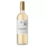 Terranoble - Sauvignon Blanc