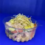 Ceviche de Salmão