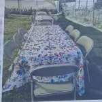 Mesa plegable con 10 sillas
