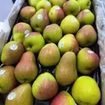 PERA FIORELLA BOLSA
