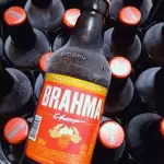 Baldinho Brahma
