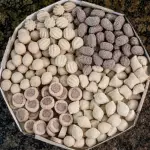 100 SALGADOS CONGELADOS