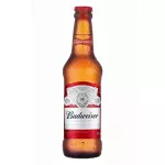 Budweiser Long Neck 330 Ml