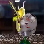 Coctel Gin Tonic