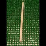 Hashi