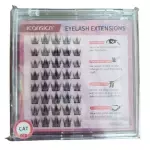 ICONSIGN PESTANAS ENCAPSULADAS GRUPO