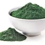 Spirulina em pó