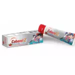 COBORAL Z TUBO 90G
