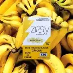ZGY: Banana Tropical ⚡