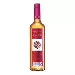SIDRA DE MANZANA GRANDE 玻璃瓶天地一号