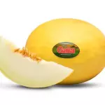 melao amarelo