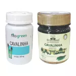 Cavalinha