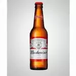 CERVEJA BUDWEISER LONG NECK 🍺❄️