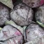 REPOLLO MORADO  UNIDAD