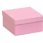 Caja cubo pasta dura RG262