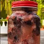 Caipifruta com vodka nacional