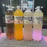 Pomelo 1.5
