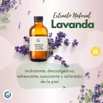 EXTRACTO HG LAVANDA