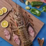 ⚜️Langosta + Botella de Vino