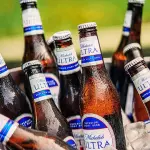 Michelob 12