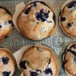 Blueberry Cupcake
