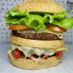 X-SALADA DUPLO