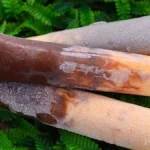 Metade Nutella c/ Metade Maracujá