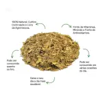 Ginkobiloba Folhas - 20g