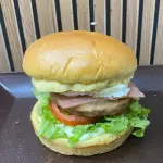 X-EGG
