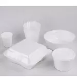 ICOPORES