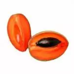 Mamey