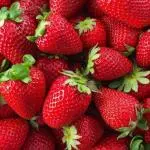 Fresas
