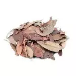 INSULINA FOLHAS
