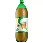 SÃO GERALDO 2L