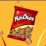 Mini Chips