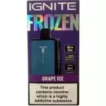 Grape Ice - 20.000 Puffs