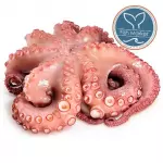 PULPO ENTERO