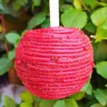 Manzana forrada con swinkles spaguetti