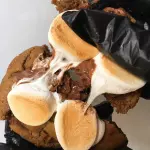 S'mores