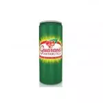 GUARANÁ ANTÁRTICA