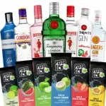 Combos Gin C/10 Gelos