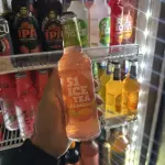 ICE 51 PESSEGO LONG NECK