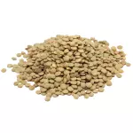 Lentilha Canadense
